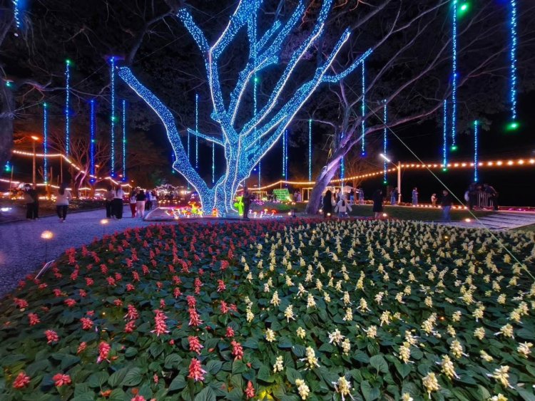 สีสันตระการตาในสายลมหนาว “มหกรรมไม้ดอกอาเซียน เชียงราย 2025”กระตุ้นท่องเที่ยว