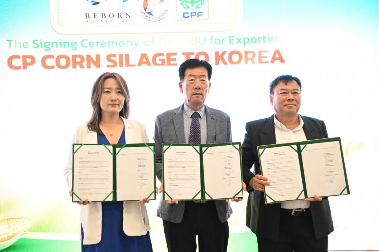 ซีพีเอฟ ร่วมมือสมาคมโคเนื้อฮันวูแห่งชาติเกาหลีใต้ ผลักดันการใช้ข้าวโพดหมักคุณภาพสูง