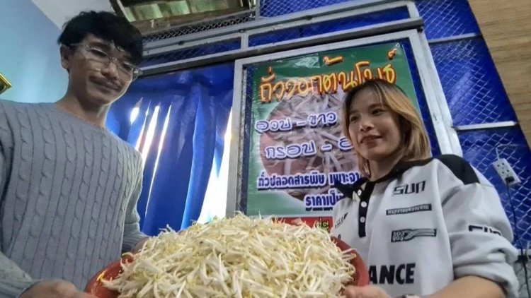 อาชีพที่หลายคนมองข้าม!"เพาะถั่วงอก"ลงทุนต่ำแค่หลักพันขายได้หลักหมื่นต่อเดือน