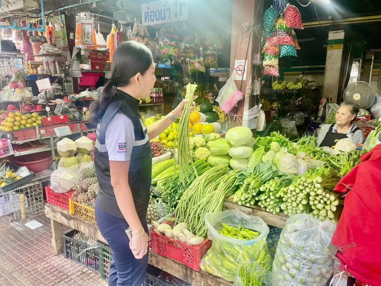 ชัยภูมิอากาศหนาวเย็นกระทบแปลงพืชผักออกผลผลิตน้อยดันราคาพุ่ง