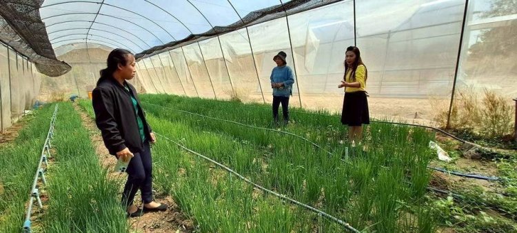 ชู "บ้านดงกล้วย"ต้นแบบ เลี้ยงจิ้งหรีดส่งออก–ปลูกสมุนไพร–หม่อนเลี้ยงไหม สร้างรายได้ยั่งยืน