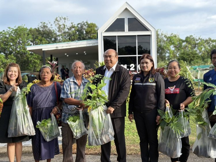 ศูนย์ขยายพันธุ์พืชที่ 2 ตรัง มอบพันธุ์พืชส่งความสุขปีใหม่ ปลูกสร้างรายได้ครอบครัว