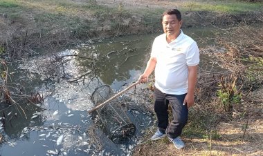 คนปราจีนบุรีร้องทุนจีนเท่าปล่อยน้ำเสียลงคลองปลายตายเกลื่อน