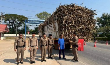 ตำรวจชัยภูมิยกระดับกวดขันเข้มรถบรรทุกอ้อยทั้งจังหวัดป้องกันซ้ำรอยอ้อยตกถนนมีผู้เสียชีวิต