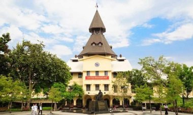 ไม่ง้อคู่ครอง! ธรรมศาสตร์ผุดหลักสูตร”คนโสดอย่างมืออาชีพ” สอนอยู่ลำพังให้รอดและรุ่ง