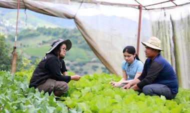 ปลุกคนรุ่นใหม่หัวใจเกษตรลุยขับเคลื่อนเกษตรยั่งยืนบนดอยแม่สลอง