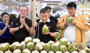 ฝ่าวิกฤตราคามะพร้าวน้ำหอมตกต่ำ เปิดพื้นที่ตลาด อ.ต.ก.ขายช่วยเหลือชาวสวน