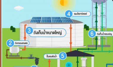 กรมข้าวอลหม่าน ข้าราชการร่อนนส.ร้องยกเลิกประมูลโครงการ