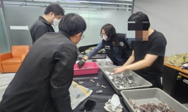 กรมศุลกากรตรวจยึดแมงมุม-แมงป่อง กว่า 400 ตัวคาสนามบินสุวรรณภูมิ