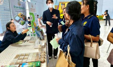 ศูนย์วิจัยข้าวแพร่ เปิดตัวข้าวเหนียวพันธุ์ใหม่ กข24–กข26 ดัน “นาคาร์บอนต่ำ” สร้างรายได้ยั่งยืน
