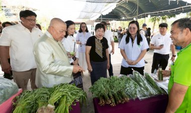 ตอบสนองนโยบายรัฐบาล!ปราจีนบุรีเร่งขับเคลื่อน “เศรษฐกิจสุขภาพ” ปั้นเมืองสมุนไพรสู่สากล