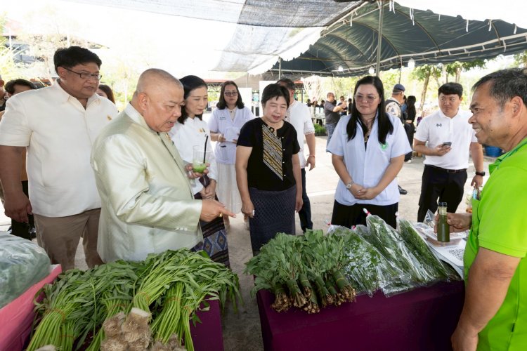 ตอบสนองนโยบายรัฐบาล!ปราจีนบุรีเร่งขับเคลื่อน “เศรษฐกิจสุขภาพ” ปั้นเมืองสมุนไพรสู่สากล