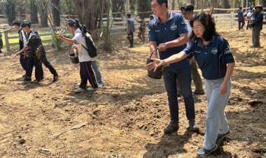 “วันช้างไทย”  ทับลานเดินหน้าเพิ่มแหล่งอาหารสัตว์ป่าดึงดูดสัตว์ป่ากลับสู่พื้นที่อนุรักษ์