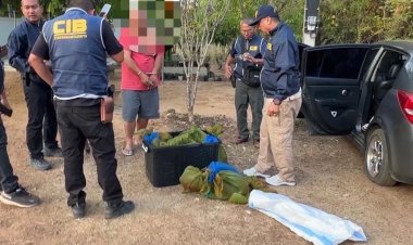 ปทส. สกัดจับขบวนการค้าสัตว์ป่า คาสี่แยก ยึด "ลิงแสม" 37 ชีวิต ซุกรถเก๋งเตรียมส่งออก
