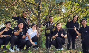 กรมส่งเสริมสหกรณ์ งัด 4 มาตรการรับมือผลไม้ปี 69 ดัน "สินค้า GI" บุกโมเดิร์นเทรด