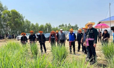 "ขุขันธ์"เมืองต้นแบบศูนย์เรียนรู้พระราชดำริ ยกระดับเกษตรผสมผสาน สร้างรายได้มั่นคงสู่ชุมชน