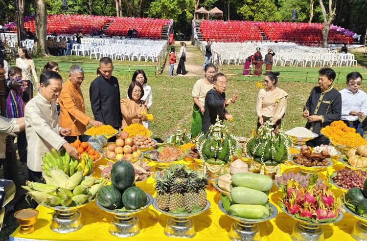 อะร้าอร่าม!เทศกาลดอกลำดวนบานสืบสานประเพณี 4 เผ่าไทศรีสะเกษกระตุ้นท่องเที่ยว