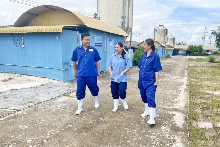 กลับบ้าน...มาสร้างความมั่นคง “ศิริรัตน์ ยั่งยืน” เลี้ยงหมูด้วยหัวใจ