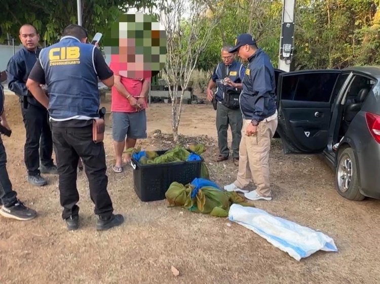 ปทส. สกัดจับขบวนการค้าสัตว์ป่า คาสี่แยก ยึด "ลิงแสม" 37 ชีวิต ซุกรถเก๋งเตรียมส่งออก