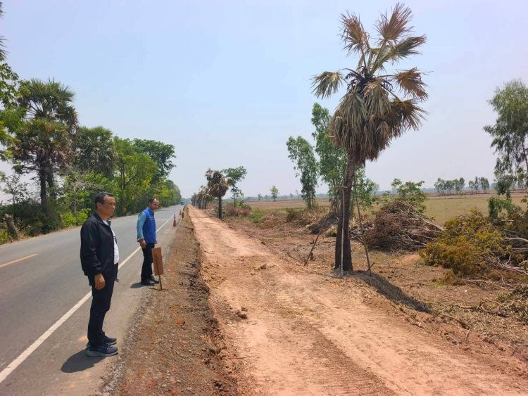 ข้อมูลปลอม!ศรีสะเกษแจงตรวจสอบ "ตัดต้นตาล 3  ล้านต้นไม่เป็นความจริง