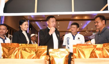 พัทลุงเร่งผลักดันแบรนด์  “ทุเรียนภูบรรทัด”  ครอบคลุม 6 อำเภอ  ริมเทือกเขาบรรทัดสู่ตลาดสากล