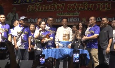 “เงินสะท้านวงการ! 6 ล้านแลก ‘เสือดำ–มังกรดำ’ เปิดเกมใหม่ไก่ชนไทย” วอนภาครัฐพลักดัน ซอฟพาวเวอร์กีฬาพื้นบ้าน