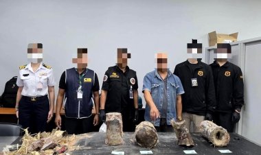 กรมศุลกากร ร่วมกับหน่วยงานที่เกี่ยวข้องตรวจยึดนอแรดมูลค่ารวมกว่า 20 ล้านบาท