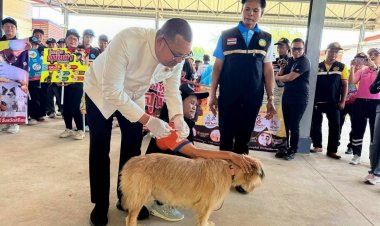 อำเภอขุขันธ์ลุยฉีดวัคซีน“พิษสุนัขบ้า”ครอบคลุม 12 หมู่บ้าน สร้างชุมชนปลอดภัยทั้งคนและสัตว์