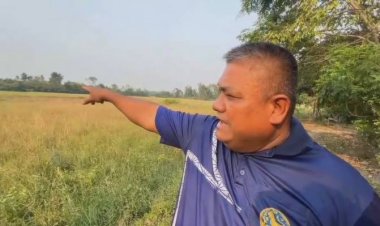 เซ่นพิษน้ำมัน-ปุ๋ยแพง สวนทางข้าวตกต่ำ เกษตรกรอุทัยธานีปล่อยนาร้างเป็นพันไร่