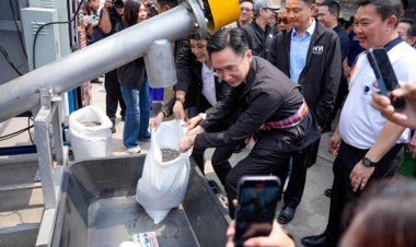 เพื่อไทยเปิดตัว ‘ปุ๋ยสั่งตัด’ ฝ่าวิกฤตราคาแพงฟื้นดิน-ลดต้นทุนสูงสุด 60%