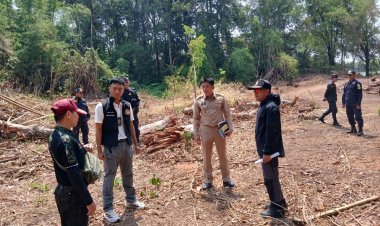 เจ้าหน้าที่สนธิกำลังบุกยึดไม้ยางนา 76 ท่อน กลางป่าภูเขียว ล่าขบวนการนายทุนทำลายทรัพยากรชาติ