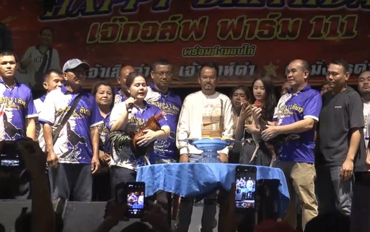 “เงินสะท้านวงการ! 6 ล้านแลก ‘เสือดำ–มังกรดำ’ เปิดเกมใหม่ไก่ชนไทย” วอนภาครัฐพลักดัน ซอฟพาวเวอร์กีฬาพื้นบ้าน