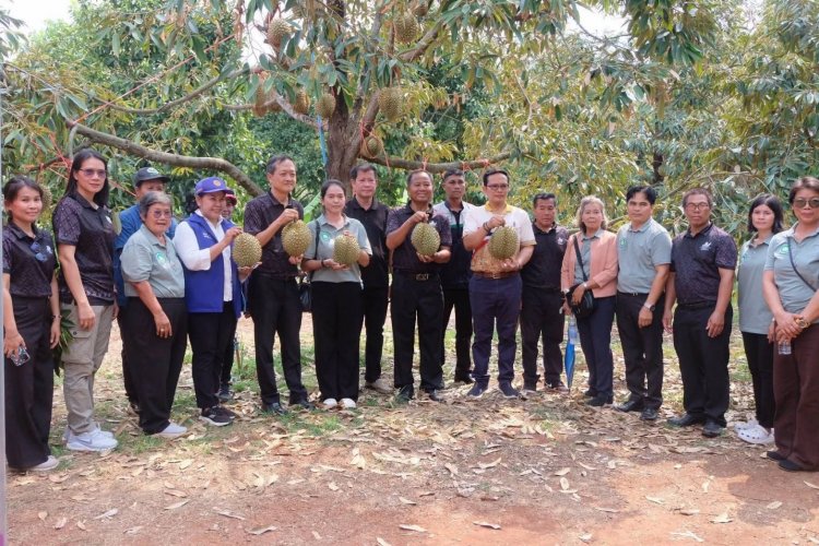 ผู้ว่าฯ ศรีสะเกษพาคณะเร่งเยียวยาเกษตรกรสวนทุเรียนภูเขาไฟโดนพายุฤดูร้อนถล่มเสียหายยับ