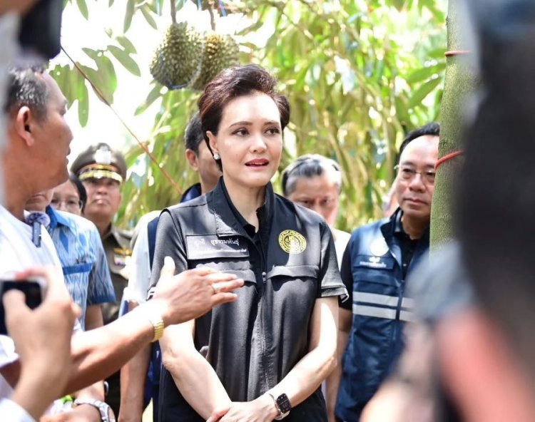 ทุเรียนล้นประเทศ! พาณิชย์เร่งอัดมาตรการทั้งระบบ หวั่นราคาดิ่ง หากส่งออกสะดุด