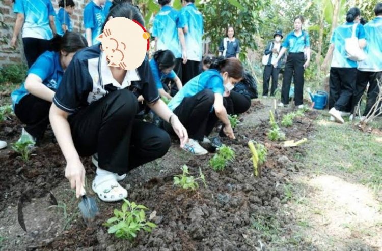 โครงการปลูกต้นไม้ ผักชีโรยหน้าเปรียบดังปักดอกไม้ใส่แจกัน ในที่สุดก็เหี่ยวเฉาโรยรา