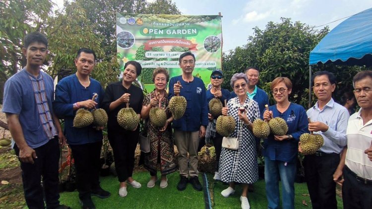 ยโสธรเปิดสวนทุเรียนเมืองเลิง ดัน Open Garden แลนด์มาร์คท่องเที่ยวเกษตรแห่งใหม่