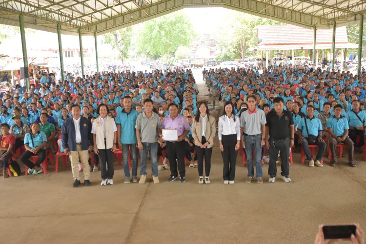 ชาวไร่ยาสูบเบอร์เลย์เพชรบูรณ์-สุโขทัย ผนึกกำลังรับรัฐบาลใหม่ ชู 4 ข้อเรียกร้องเร่งด่วน ยกระดับอุตสาหกรรมยาสูบไทยสู่สากล