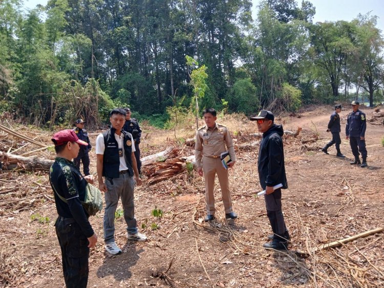 เจ้าหน้าที่สนธิกำลังบุกยึดไม้ยางนา 76 ท่อน กลางป่าภูเขียว ล่าขบวนการนายทุนทำลายทรัพยากรชาติ