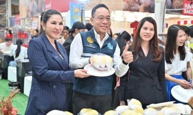 ศึกชิงเค้กทุเรียนเดือด!"แม็คโคร–โลตัส"รับซื้อพุ่ง 3 เท่าจัดโปรบุฟเฟต์ 599 ระบายผลผลิตทั้งประเทศ