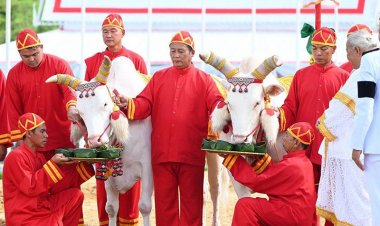 “พระยาแรกนา” เสี่ยงได้ผ้านุ่ง 6 คืบ พระโคกิน “เหล้า-ถั่วเขียว-น้ำ-หญ้า” ทำนายน้ำน้อย แต่เศรษฐกิจการค้ายังรุ่ง