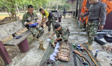รวบ 2 พรานพ่อลูก! ลอบยิงกระจง-อีเห็น 16 ซาก คามรดกโลกเขาใหญ่  ผู้ต้องหาอ้างจน-หาเงินประทังชีวิต