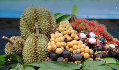 ศรีสะเกษเตรียมจัดใหญ่มหกรรมเทศกาลผลไม้-ของดีเมืองกันทรลักษ์กระตุ้นศก.ท้องถิ่น