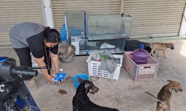 ตำรวจอุทัยธานีพร้อมชาวบ้านรุดช่วยสุนัข 5 ตัว หนุ่มนำเลี้ยงในตู้กระจกเลี้ยงปลาหวิดตายหมู่