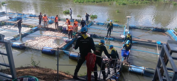 “สส. กบ”ปราจีนบุรี  จี้กลางสภาวอนกระทรวงเกษตรฯ เร่งเยียวยาด่วน! วิกฤตผักตบชวาแน่นแม่น้ำปราจีนฯ