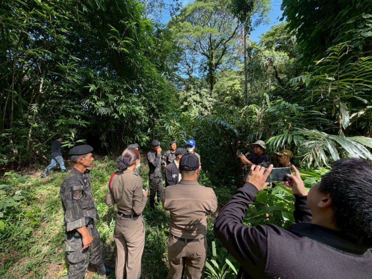 กรมอุทยานฯ เผยผลตรวจซากช้างป่าเขาใหญ่ ไม่พบรอยกระสุน คาดตายธรรมชาติ เร่งล่าตัวผู้ลักลอบเฉือนงา