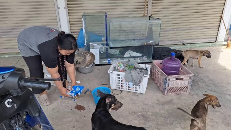ตำรวจอุทัยธานีพร้อมชาวบ้านรุดช่วยสุนัข 5 ตัว หนุ่มนำเลี้ยงในตู้กระจกเลี้ยงปลาหวิดตายหมู่