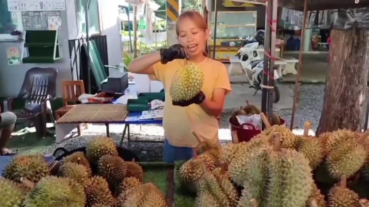 พ่อค้าแม่ค้าหวัง "ไทยช่วยไทย พลัส"กระตุ้นจับจ่ายใช้สอย-เศรษฐกิจคึกคัก