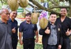ทุเรียนทองผาภูมิของดี GI เมืองกาญจน์เปิดเวทีประมูลสุดเดือดคาดราคาทะลุ 5 หมื่นบาท