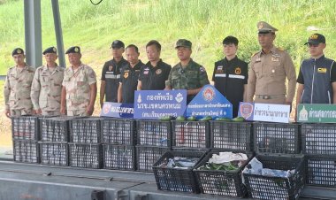 นรข. มุกดาหาร สนธิกำลังตรวจยึดอะโวคาโด 2,400 กก. ลักลอบนำเข้าจากประเทศเพื่อนบ้าน