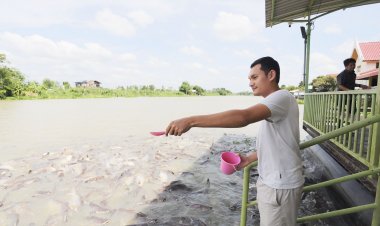 อปท.ร่วมกันพลิกฟื้น ‘ชุมชน-คลองเชียงราก ปทุมธานี สู่ “คลองสวย น้ำไหลดี ชุมชนมีสุข”